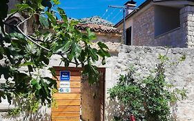 Apartments Branko